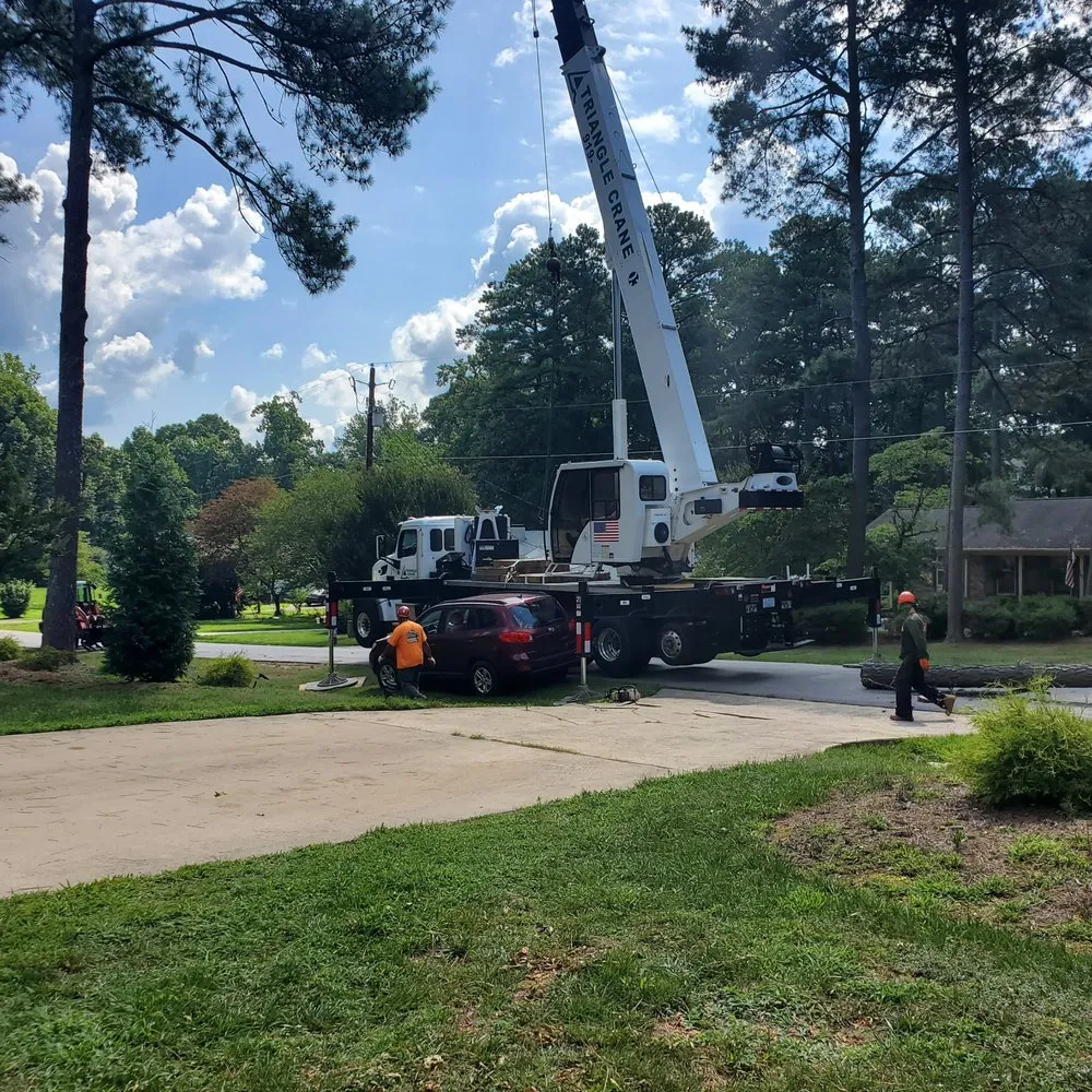 Professional landscaping services experts serving Raleigh, NC - Youngs Tree Tech