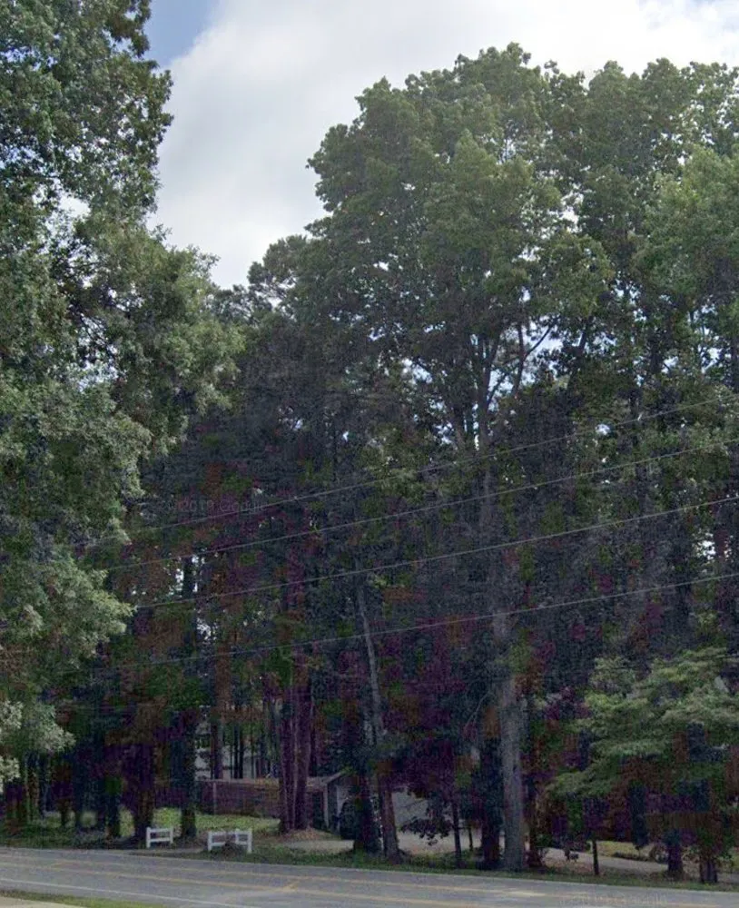 Professional garden landscaping experts serving Raleigh, NC - Youngs Tree Tech