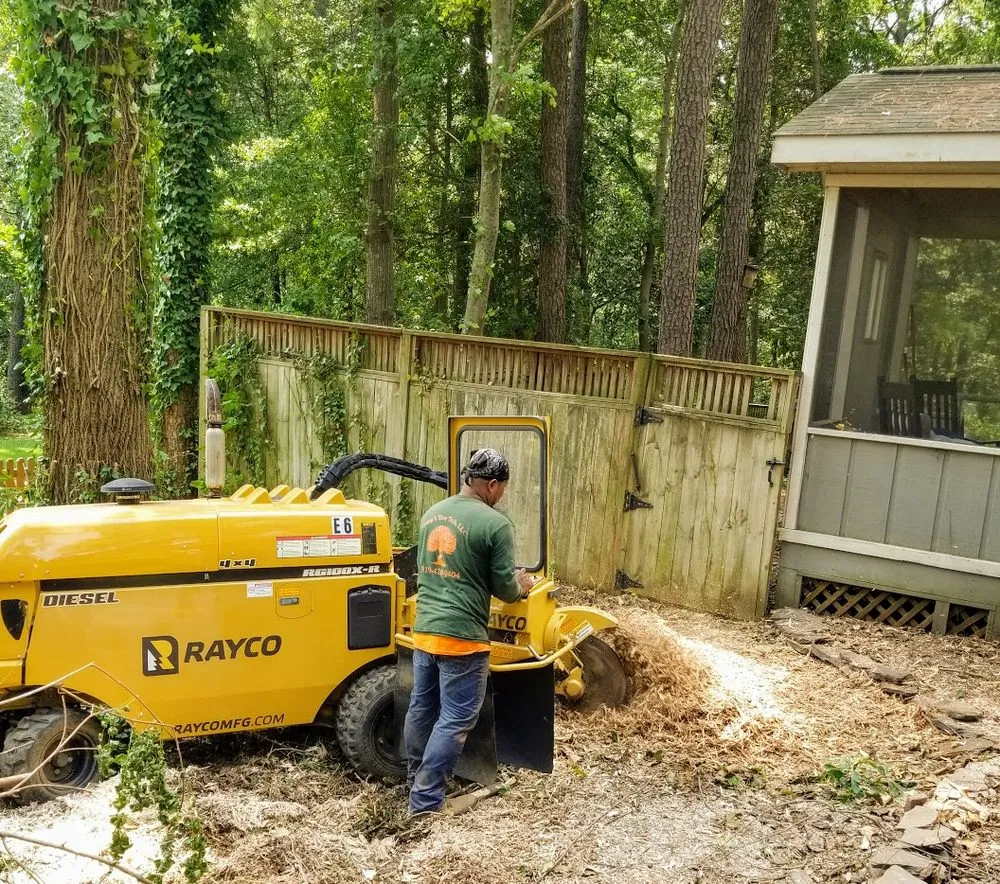 Professional residential landscaping in Raleigh, NC - Youngs Tree Tech