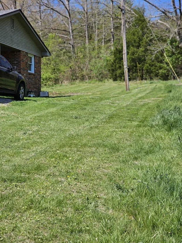 Affordable landscape design for outdoor upgrades across Richmond, KY - Young's Turf Care
