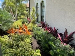 Reliable lawn care service experts serving Sarasota, FL - Younkman's Bamboo Gardens