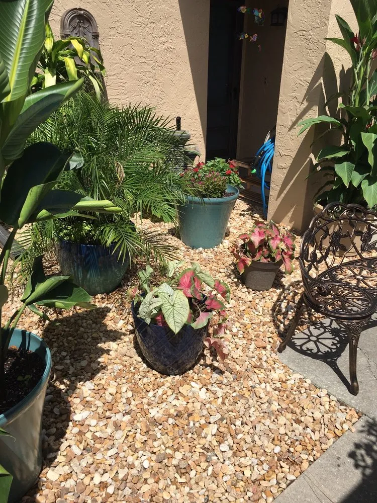 Local landscape design in Sarasota, FL - Younkman's Bamboo Gardens