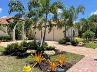 Affordable yard cleanup service for beautiful yards across Sarasota, FL - Younkman's Bamboo Gardens