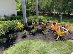 Top-rated lawn mowing service in Sarasota, FL by Younkman's Bamboo Gardens