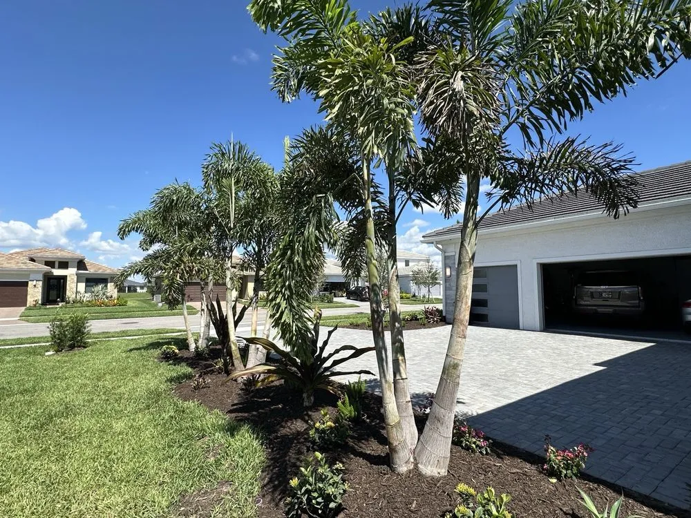 Expert lawn mowing service experts serving Sarasota, FL - Younkman's Bamboo Gardens