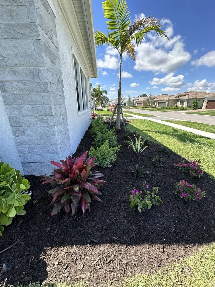 Reliable outdoor landscaping for beautiful yards across Sarasota, FL - Younkman's Bamboo Gardens