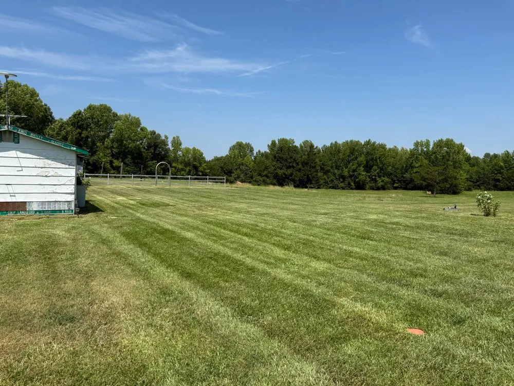 Trusted yard cleanup service for year-round maintenance in Mooresville, NC by Younts Landworx