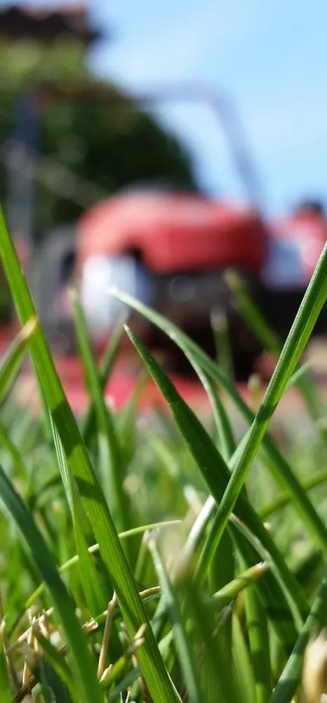 Affordable lawn mowing service experts serving Gloverville, SC - Younts Lawncare