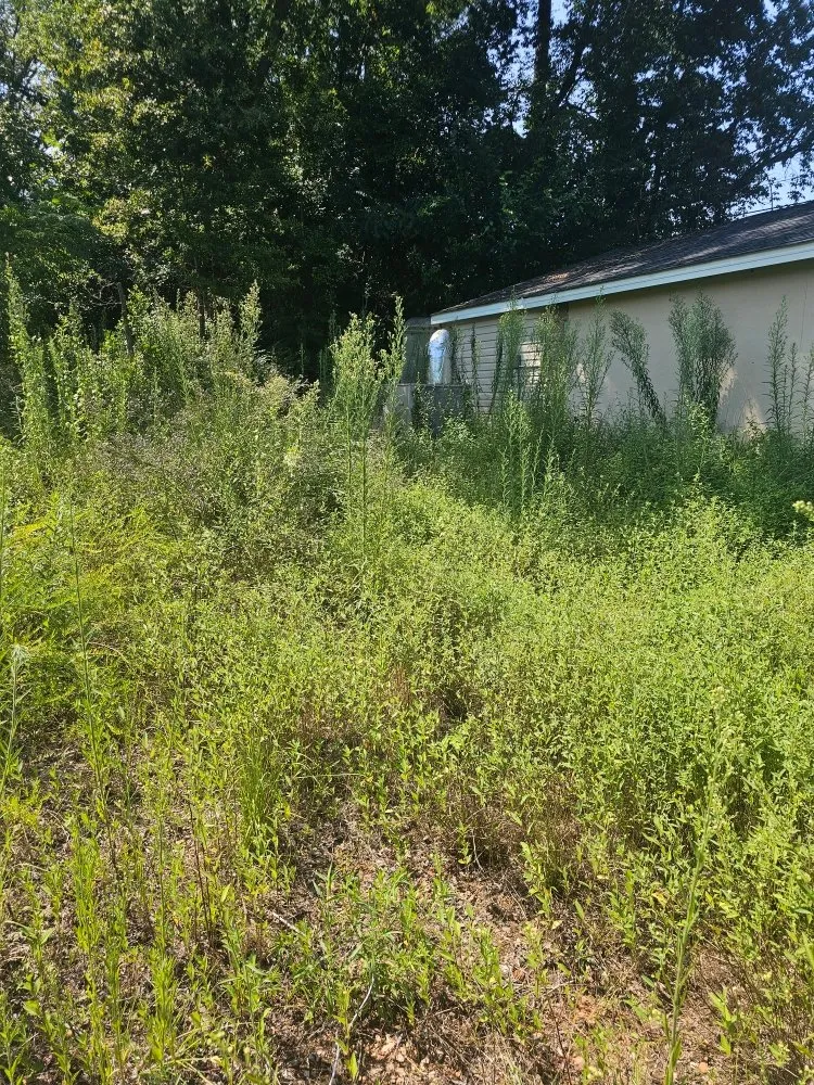 Local yard maintenance near you in Gloverville, SC by Younts Lawncare