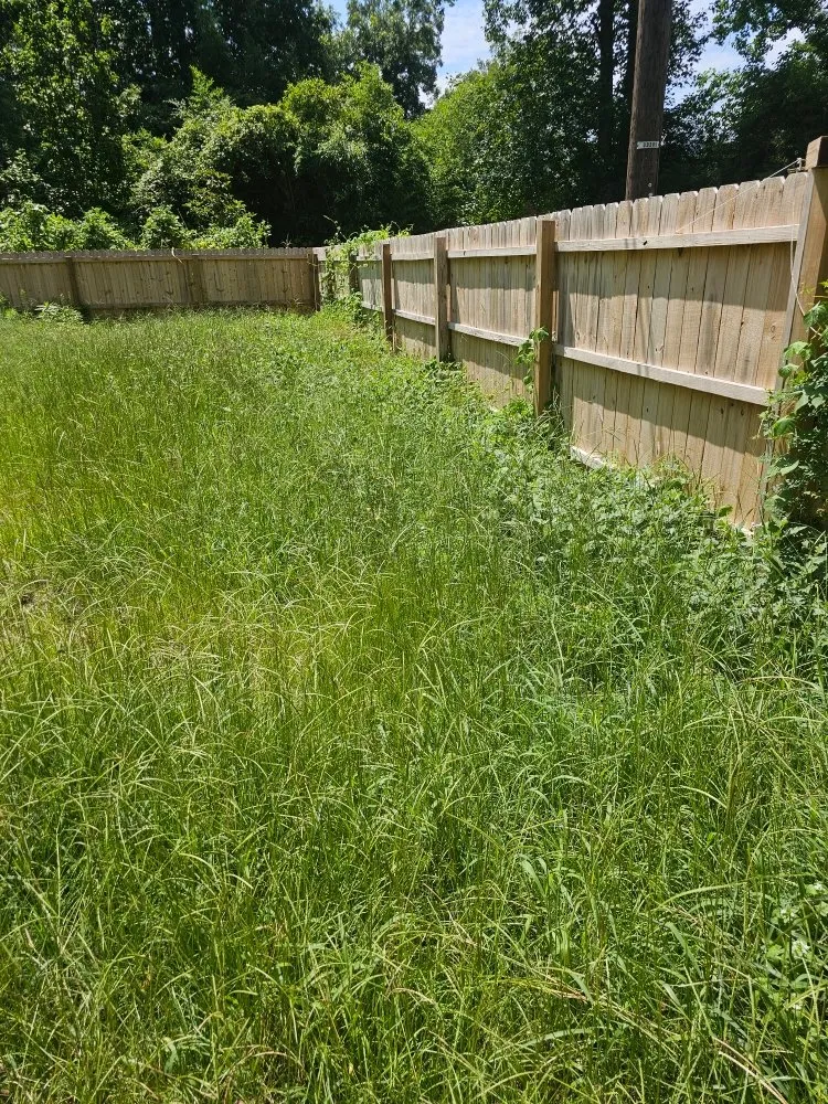 Top-rated landscape design in Gloverville, SC - Younts Lawncare