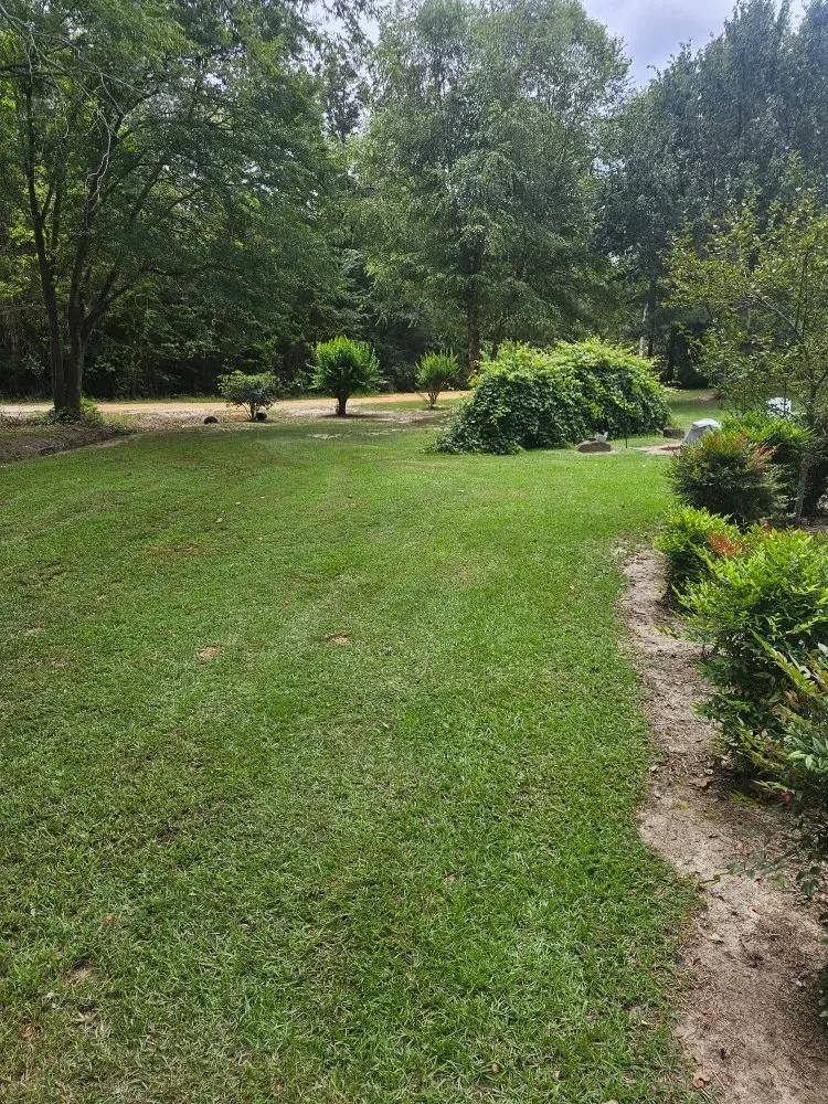 Professional lawn care service experts serving Gloverville, SC - Younts Lawncare