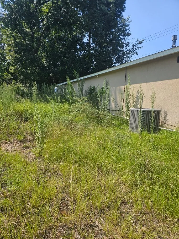 Affordable landscape installation experts serving Gloverville, SC - Younts Lawncare