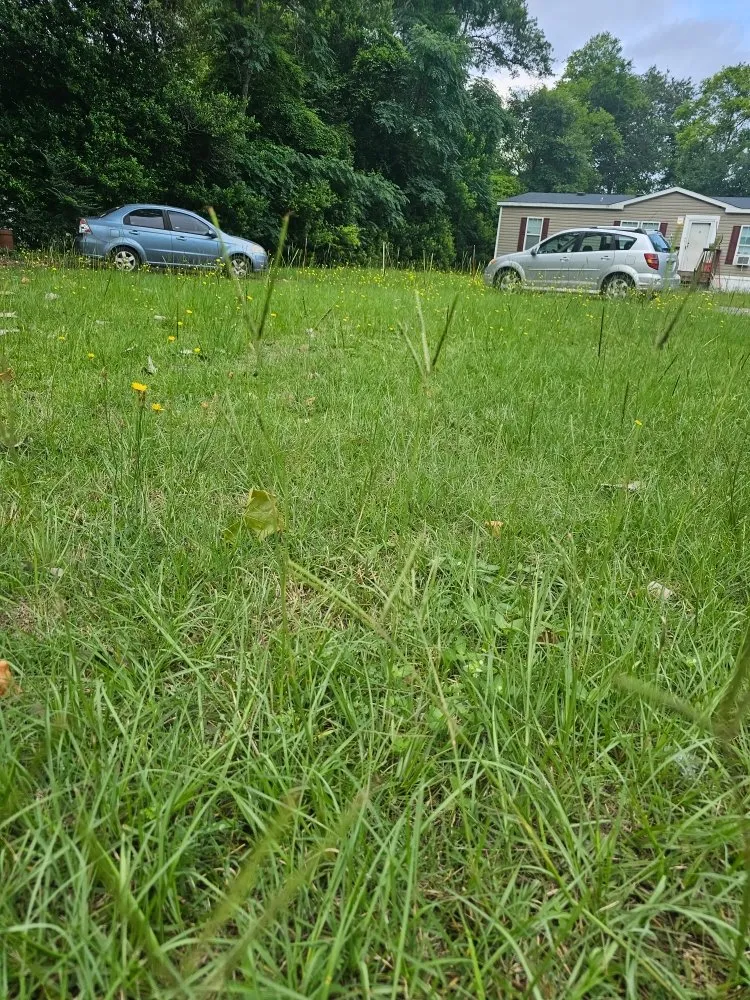Reliable lawn care service for homes across Gloverville, SC - Younts Lawncare