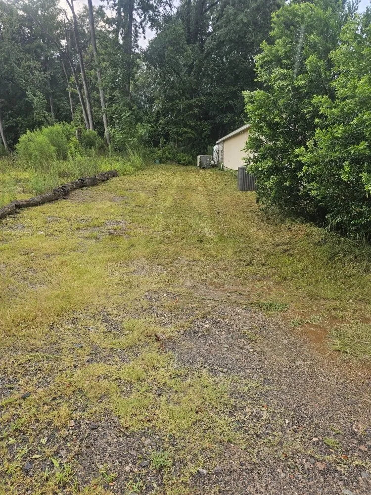 Local yard maintenance for outdoor upgrades in Gloverville, SC by Younts Lawncare