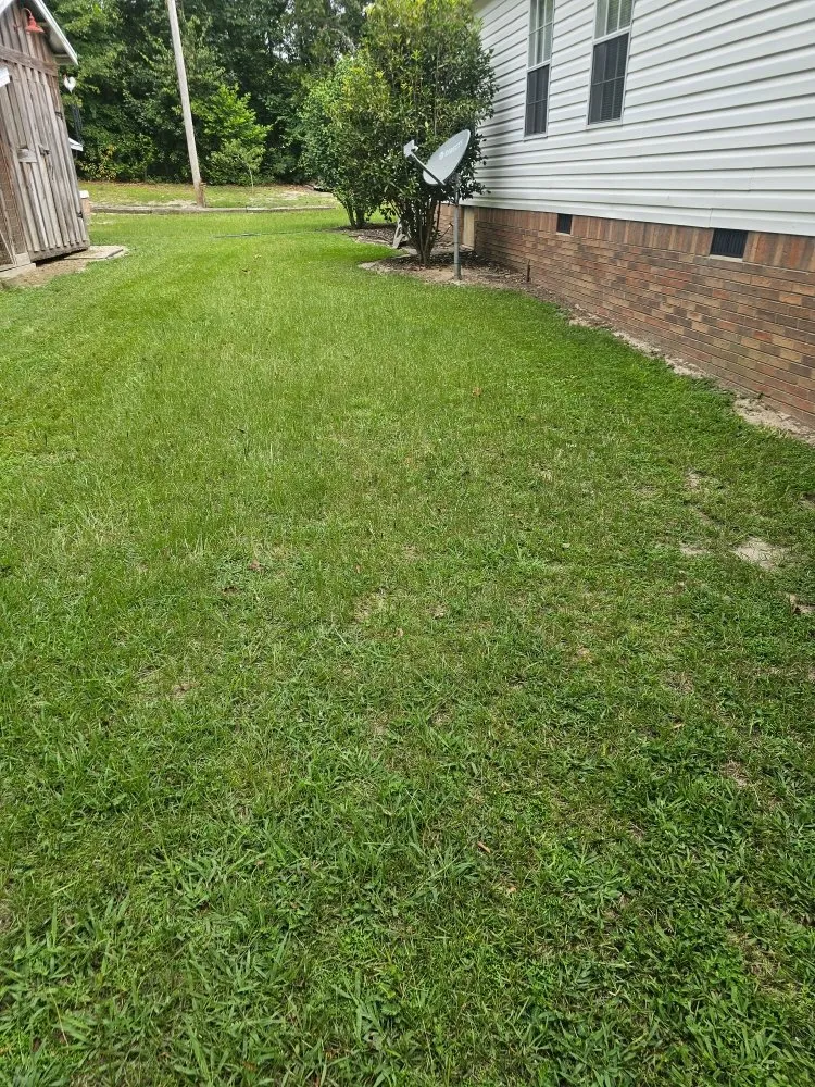 Reliable landscape design in Gloverville, SC by Younts Lawncare