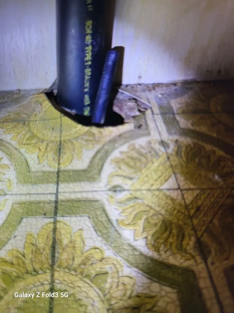 Local residential landscaping near you across New Port Richey, FL - Your Bug Guy