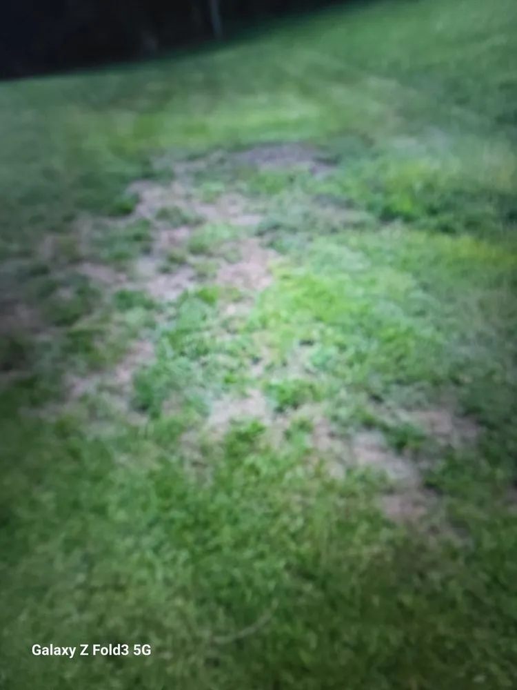 Reliable residential landscaping in New Port Richey, FL by Your Bug Guy