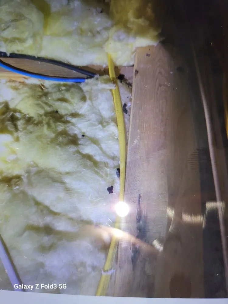 Affordable landscape design in New Port Richey, FL by Your Bug Guy