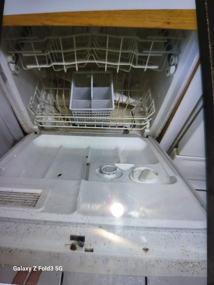 Reliable landscaping services with custom design in New Port Richey, FL by Your Bug Guy