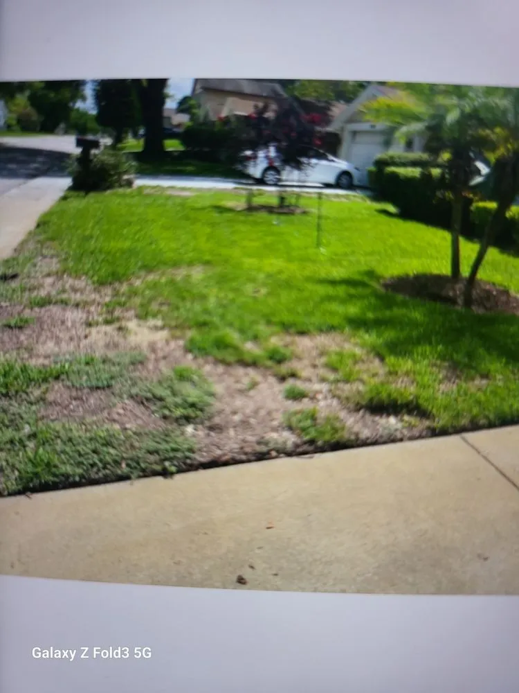 Reliable outdoor landscaping in New Port Richey, FL by Your Bug Guy