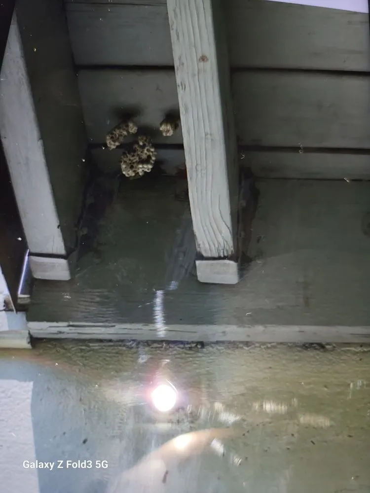 Trusted lawn mowing service in New Port Richey, FL - Your Bug Guy