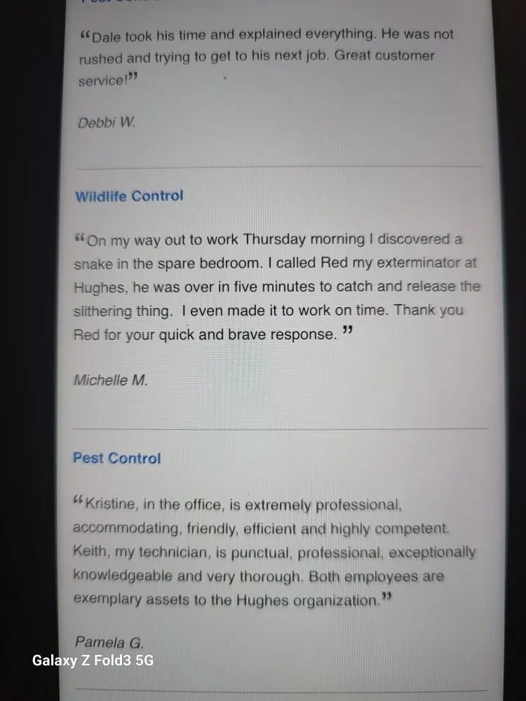 Local landscaping services in New Port Richey, FL by Your Bug Guy