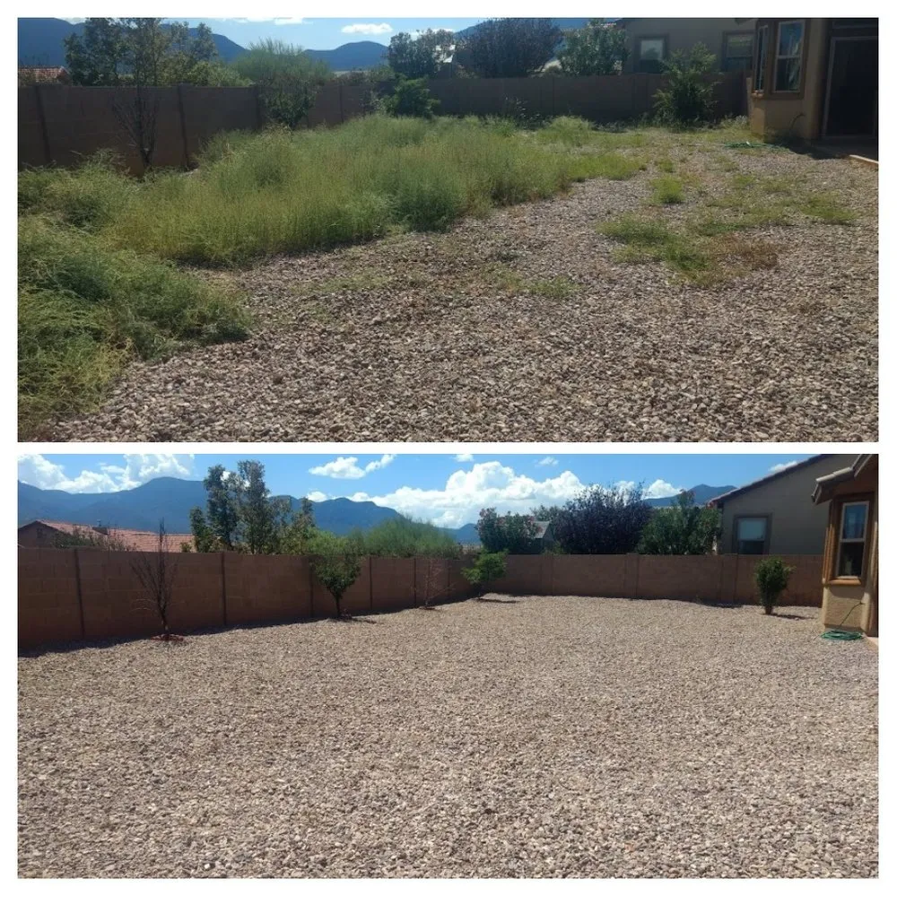 Local residential landscaping experts serving Sierra Vista, AZ - Your City Landscaping