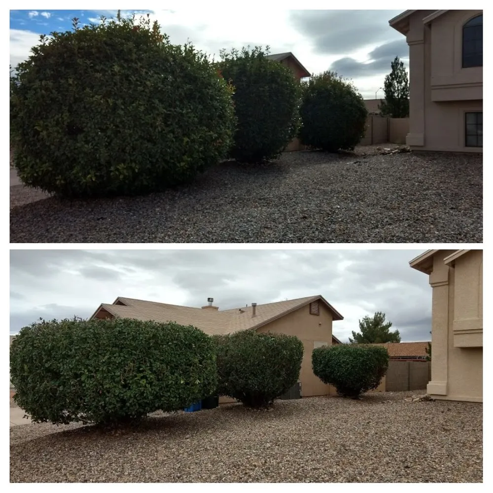 Reliable lawn care service experts serving Sierra Vista, AZ - Your City Landscaping