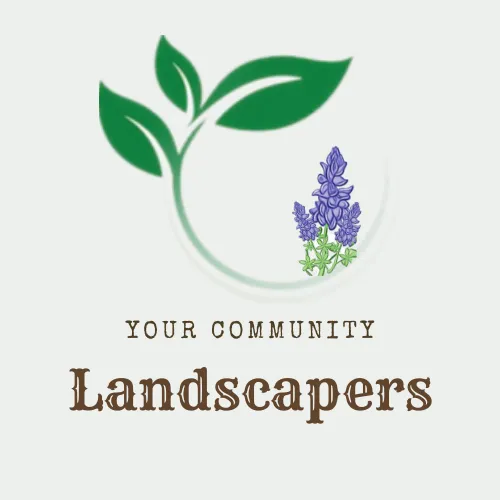 Affordable landscape installation for outdoor upgrades in Cleveland, TX by Your Community Landscapers