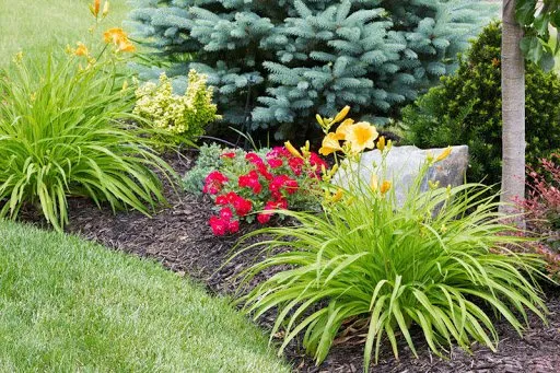 Trusted yard cleanup service experts serving Cleveland, TX - Your Community Landscapers