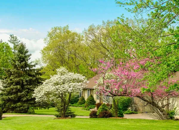 Professional lawn care service in Cleveland, TX by Your Community Landscapers