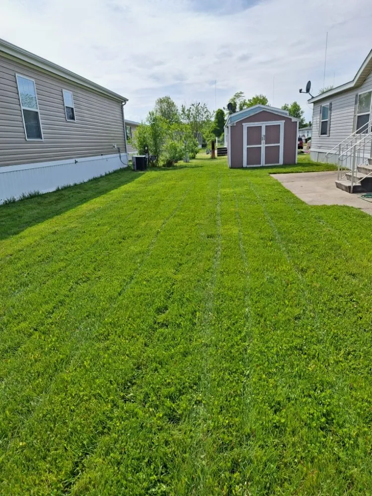 Local yard cleanup service in Romulus, MI by Your Cut