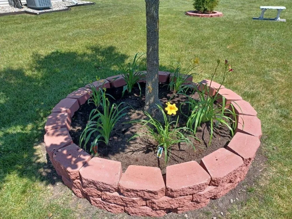 Affordable lawn care service for year-round maintenance across Romulus, MI - Your Cut