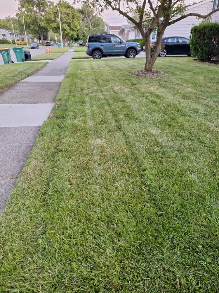 Top-rated landscaping services experts serving Romulus, MI - Your Cut