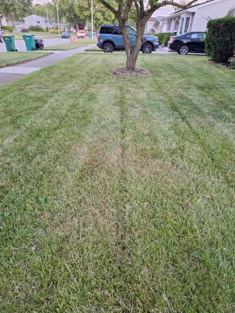 Affordable outdoor landscaping for outdoor upgrades in Romulus, MI by Your Cut