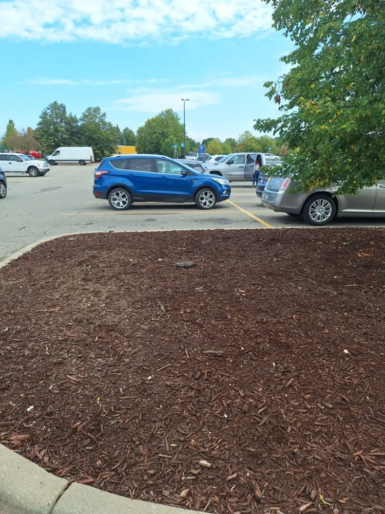 Local landscape design for beautiful yards across Romulus, MI - Your Cut