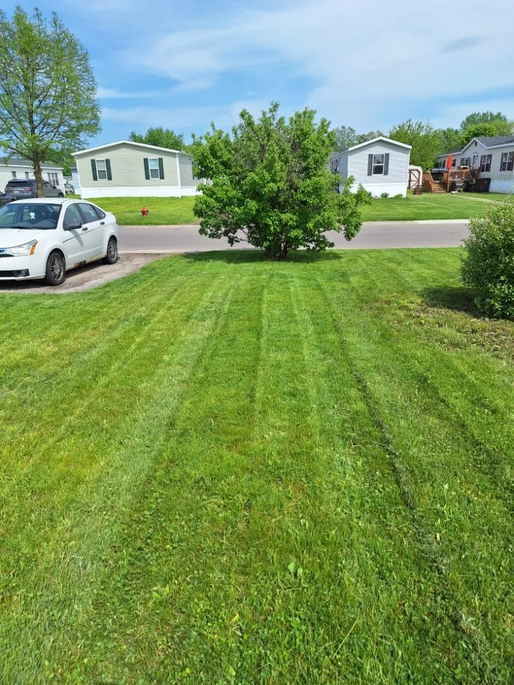 Top-rated yard cleanup service in Romulus, MI by Your Cut
