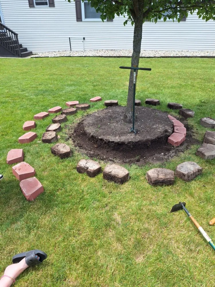 Reliable lawn mowing service for year-round maintenance across Romulus, MI - Your Cut