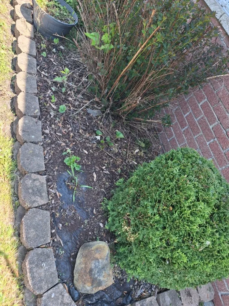 Reliable residential landscaping for homes in Romulus, MI by Your Cut