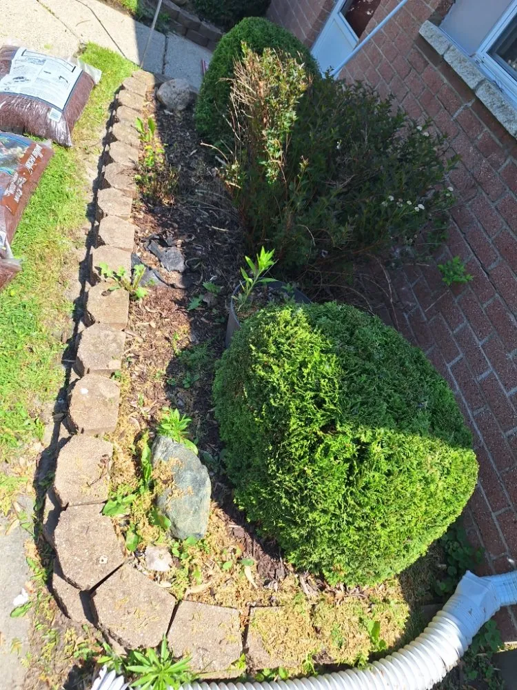 Reliable landscape installation experts serving Romulus, MI - Your Cut