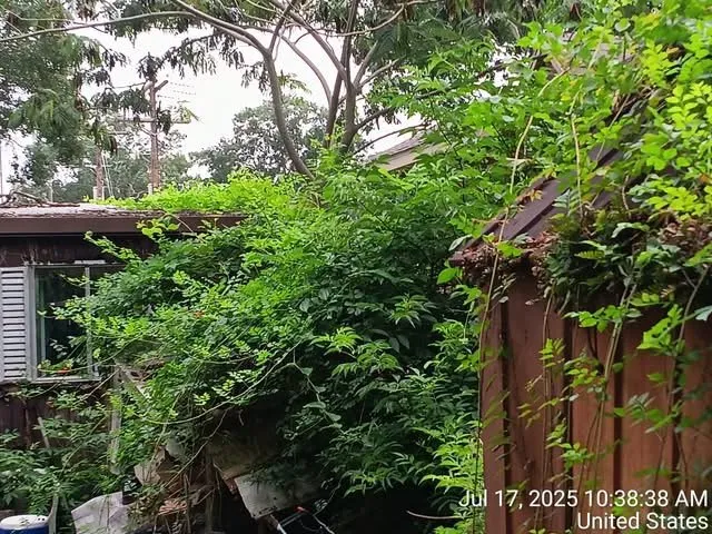 Expert residential landscaping with custom design in Conroe, TX by Your Ditch Is Ugly