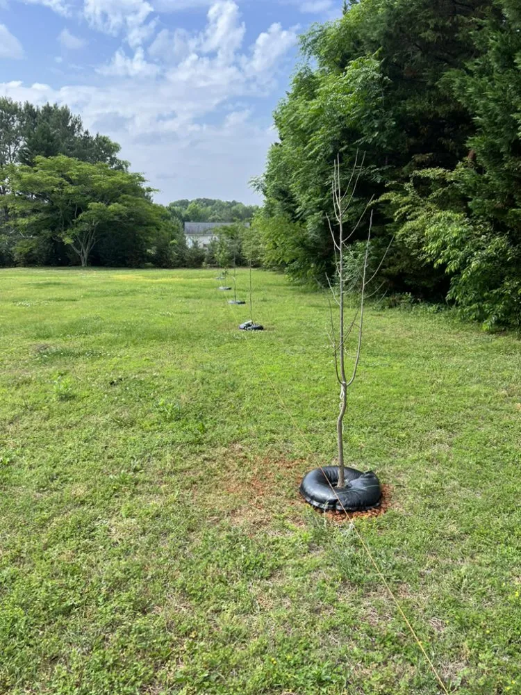 Affordable residential landscaping in Lenoir, NC - Your Dream Landscaping