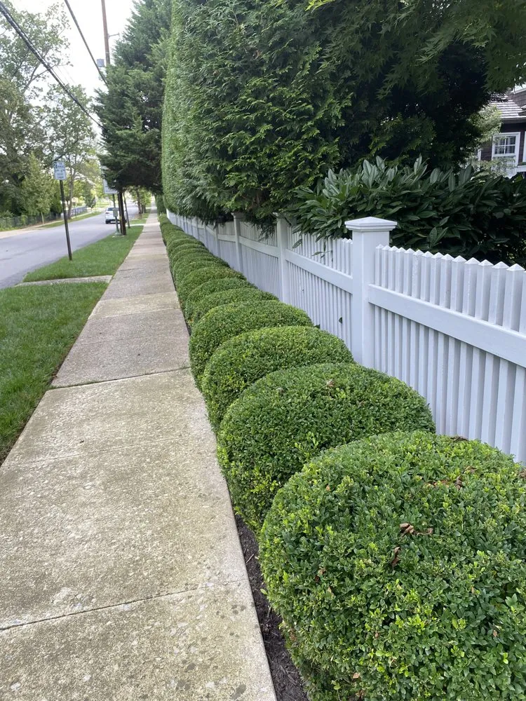 Affordable landscaping services with custom design in Norristown, PA by Your Favorite Landscaper