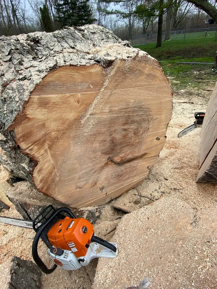 Local yard maintenance for year-round maintenance across Milwaukee, WI - Your Friendly Neighbor Landscaping & Tree Service