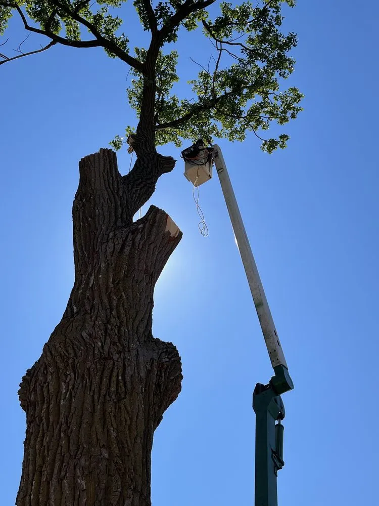 Custom outdoor landscaping with custom design in Milwaukee, WI by Your Friendly Neighbor Landscaping & Tree Service