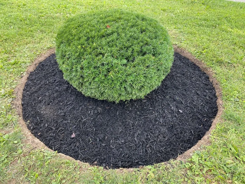 Expert landscape installation in Milwaukee, WI - Your Friendly Neighbor Landscaping & Tree Service