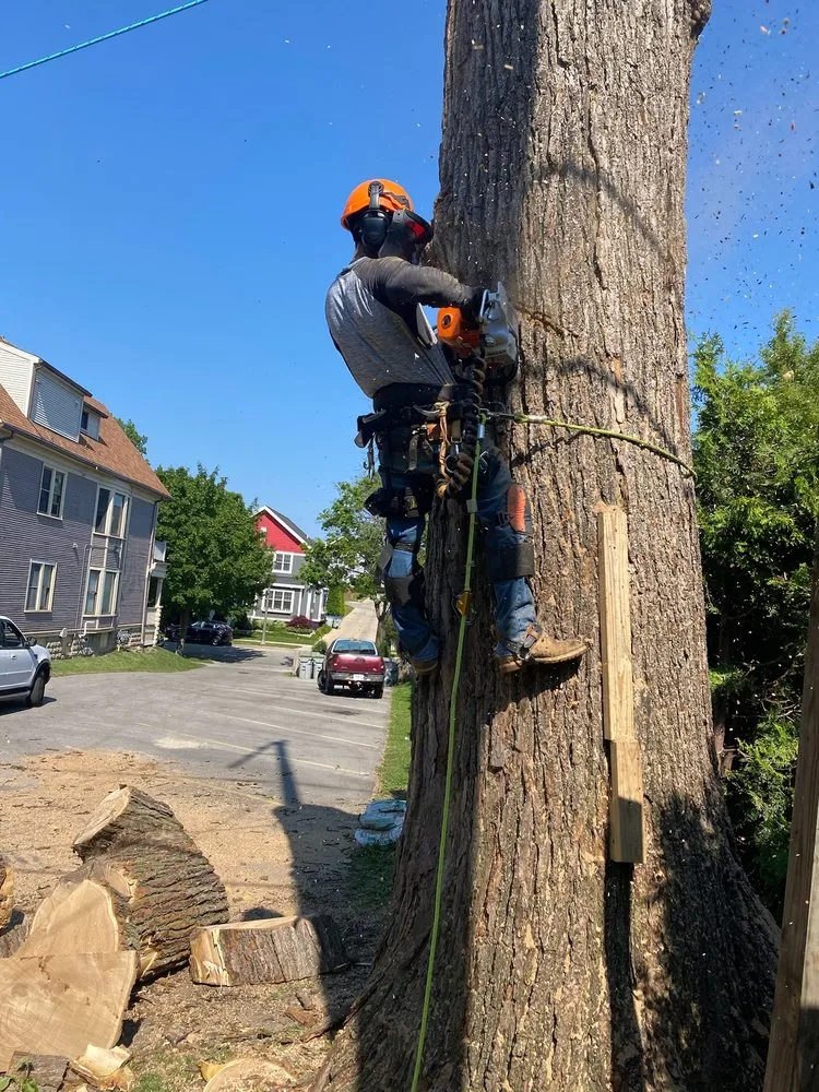 Trusted landscape installation in Milwaukee, WI - Your Friendly Neighbor Landscaping & Tree Service