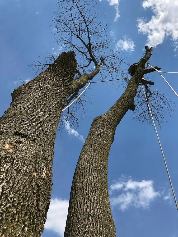 Trusted residential landscaping near you across Milwaukee, WI - Your Friendly Neighbor Landscaping & Tree Service