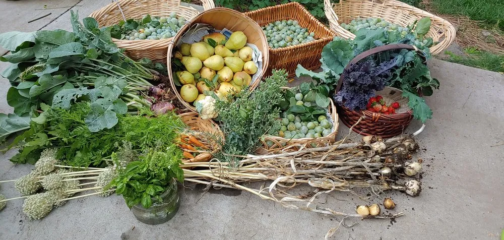 Trusted lawn mowing service in Bend, OR - Your Garden Companion