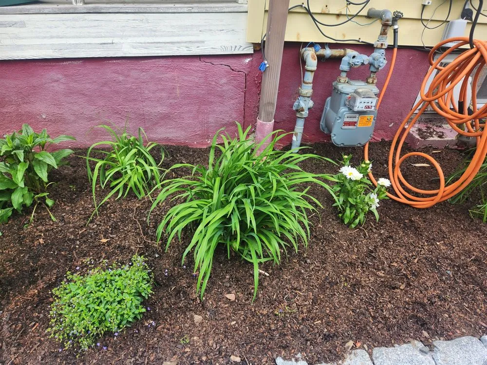 Affordable landscape installation experts serving Somerville, MA - Your Garden Curator